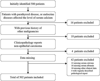 Estrogen-Induced Extracellular Calcium Influx Promotes Endometrial Cancer Progress by Regulating Lysosomal Activity and Mitochondrial ROS